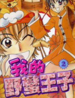 [日漫]安藤夏美《我的野蛮王子》第01-03卷完中文版PDF+mobi漫画下载
